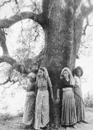 Chipko: Hug Trees to Save Environment – Indrosphere